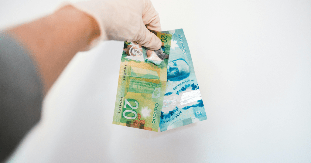 Understanding Canadian Bills and&nbsp;Coins