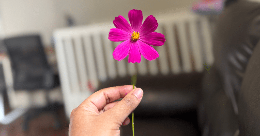 My Version of a&nbsp;Birthday