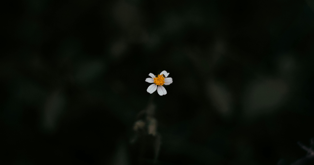 Who Were You 10 Years Back? Why Reflecting on the Past Shapes Your&nbsp;Growth